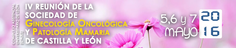IV Reunión de la Sociedad de Ginecología Oncológica y Patología Mamaria de Castilla y León