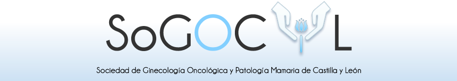 IV Reunión anual administrativa de la Sociedad de Ginecología Oncológica de Castilla y León (SoGOCyL)