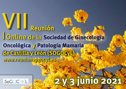 VII Reunión de la Sociedad de Ginecología Oncológica y Patología Mamaria de Castilla y León 