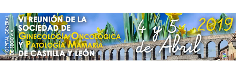 VI Reunión de la Sociedad de Ginecología Oncológica y Patología Mamaria de Castilla y León