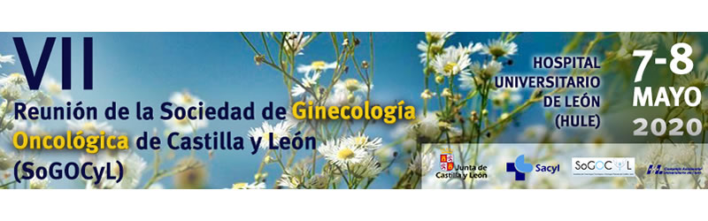 VII Reunión de la Sociedad de Ginecología Oncológica y Patología Mamaria de Castilla y León